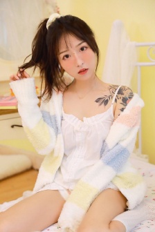 摩托罗拉a1600软件